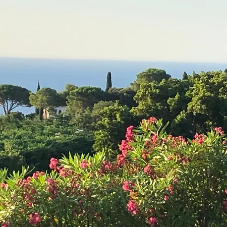 Villa Kalliopé - Vue - New *