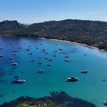 Kalliope - Vue - Piscine - New * Hyères